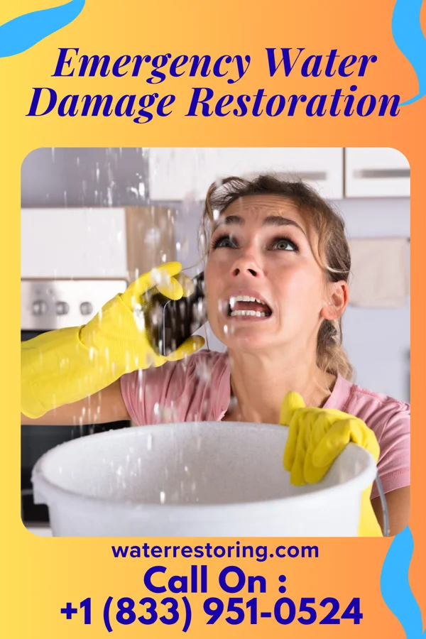 Emergency Water Damage Restoration in Tallapoosa, MO